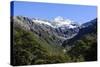 Otira Gorge Road, Arthur's Pass, South Island, New Zealand, Pacific-Michael-Stretched Canvas