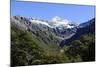 Otira Gorge Road, Arthur's Pass, South Island, New Zealand, Pacific-Michael-Mounted Photographic Print