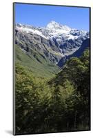 Otira Gorge Road, Arthur's Pass, South Island, New Zealand, Pacific-Michael-Mounted Photographic Print