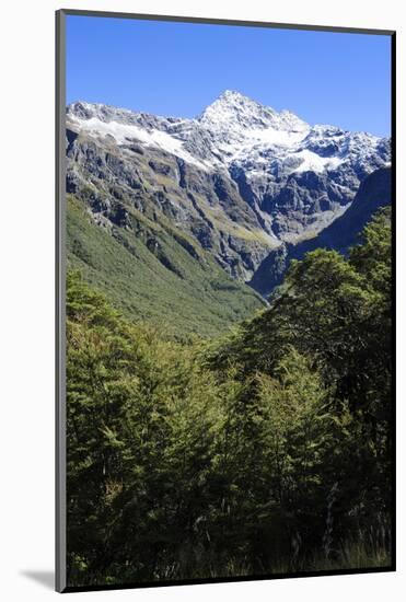 Otira Gorge Road, Arthur's Pass, South Island, New Zealand, Pacific-Michael-Mounted Photographic Print