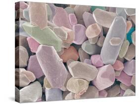 Otoliths from the Inner Ear of a Rabbit-Micro Discovery-Stretched Canvas