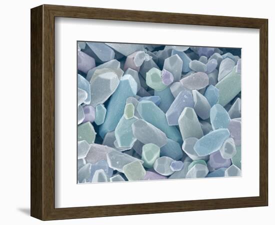 Otoliths from the Inner Ear of a Rabbit-Micro Discovery-Framed Photographic Print