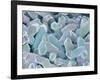 Otoliths from the Inner Ear of a Rabbit-Micro Discovery-Framed Photographic Print