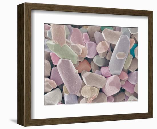 Otoliths from the Inner Ear of a Rabbit-Micro Discovery-Framed Photographic Print