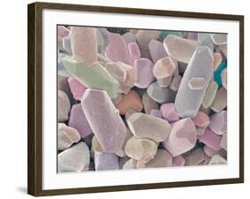 Otoliths from the Inner Ear of a Rabbit-Micro Discovery-Framed Photographic Print