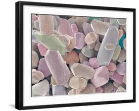 Otoliths from the Inner Ear of a Rabbit-Micro Discovery-Framed Photographic Print