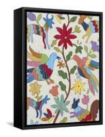 Otomi Embroidery I-Chariklia Zarris-Framed Stretched Canvas