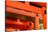 Otorii Partial Close-Up of Otorii in Fushimi Inari Taisha Shrine in Kyoto, Japan.-elwynn-Stretched Canvas