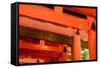 Otorii Partial Close-Up of Otorii in Fushimi Inari Taisha Shrine in Kyoto, Japan.-elwynn-Framed Stretched Canvas