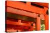 Otorii Partial Close-Up of Otorii in Fushimi Inari Taisha Shrine in Kyoto, Japan.-elwynn-Stretched Canvas