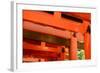 Otorii Partial Close-Up of Otorii in Fushimi Inari Taisha Shrine in Kyoto, Japan.-elwynn-Framed Photographic Print