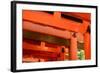 Otorii Partial Close-Up of Otorii in Fushimi Inari Taisha Shrine in Kyoto, Japan.-elwynn-Framed Photographic Print