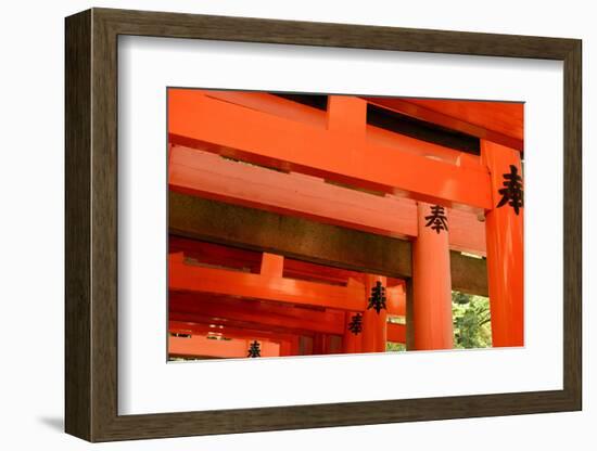 Otorii Partial Close-Up of Otorii in Fushimi Inari Taisha Shrine in Kyoto, Japan.-elwynn-Framed Photographic Print