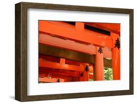 Otorii Partial Close-Up of Otorii in Fushimi Inari Taisha Shrine in Kyoto, Japan.-elwynn-Framed Photographic Print