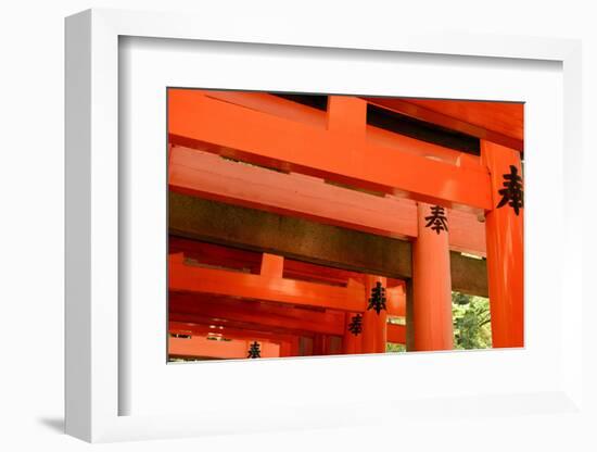 Otorii Partial Close-Up of Otorii in Fushimi Inari Taisha Shrine in Kyoto, Japan.-elwynn-Framed Photographic Print