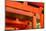 Otorii Partial Close-Up of Otorii in Fushimi Inari Taisha Shrine in Kyoto, Japan.-elwynn-Mounted Photographic Print