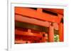 Otorii Partial Close-Up of Otorii in Fushimi Inari Taisha Shrine in Kyoto, Japan.-elwynn-Framed Photographic Print