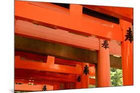 Otorii Partial Close-Up of Otorii in Fushimi Inari Taisha Shrine in Kyoto, Japan.-elwynn-Mounted Photographic Print