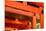 Otorii Partial Close-Up of Otorii in Fushimi Inari Taisha Shrine in Kyoto, Japan.-elwynn-Mounted Photographic Print