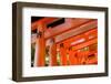 Otorii Partial Close-Up of Otorii in Fushimi Inari Taisha Shrine in Kyoto, Japan.-elwynn-Framed Photographic Print