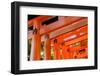 Otorii Partial Close-Up of Otorii in Fushimi Inari Taisha Shrine in Kyoto, Japan.-elwynn-Framed Photographic Print