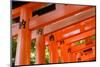 Otorii Partial Close-Up of Otorii in Fushimi Inari Taisha Shrine in Kyoto, Japan.-elwynn-Mounted Photographic Print