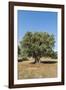 Otranto, province of Lecce, Salento, Apulia, Italy-ClickAlps-Framed Photographic Print