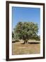 Otranto, province of Lecce, Salento, Apulia, Italy-ClickAlps-Framed Photographic Print