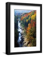 Ottauquechee River, Quechee Gorge, Quechee National Park, Vermont Usa-Fraser Hall-Framed Photographic Print