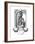 Brown Frame