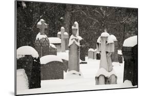 Ottawa, Canada, Beechwood Cemetery. Snow-Covered Gravestone-Bill Young-Mounted Photographic Print
