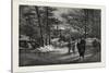 Ottawa, Government House, from Skating Pond, Canada, Nineteenth Century-null-Stretched Canvas