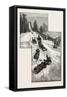 Ottawa, Tobogganning at Government House, Canada, Nineteenth Century-null-Framed Stretched Canvas