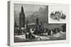 Ottawa, Wellington Street in Winter; Entrance to Rideau Hall, Canada, Nineteenth Century-null-Stretched Canvas