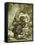 Otter 1891 Austria-null-Framed Stretched Canvas