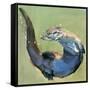 Otter, 2003-Mark Adlington-Framed Stretched Canvas