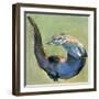 Otter, 2003-Mark Adlington-Framed Giclee Print