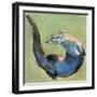 Otter, 2003-Mark Adlington-Framed Giclee Print