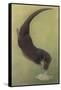 Otter and Fish-null-Framed Stretched Canvas