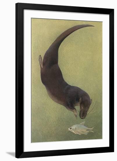 Otter and Fish-null-Framed Art Print