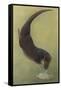 Otter and Fish-null-Framed Stretched Canvas