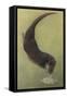 Otter and Fish-null-Framed Stretched Canvas
