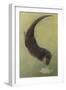 Otter and Fish-null-Framed Art Print