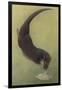 Otter and Fish-null-Framed Art Print