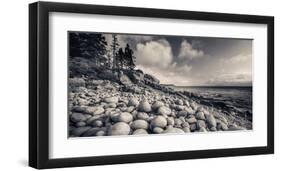 Otter Cliff Coastline-Michael Hudson-Framed Giclee Print