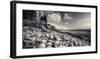 Otter Cliff Coastline-Michael Hudson-Framed Giclee Print