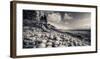 Otter Cliff Coastline-Michael Hudson-Framed Giclee Print