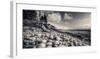 Otter Cliff Coastline-Michael Hudson-Framed Giclee Print