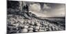 Otter Cliff Coastline-Michael Hudson-Mounted Giclee Print