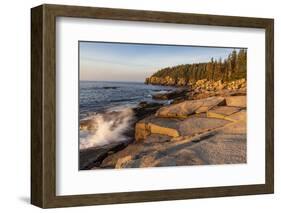 Otter Cliffs at sunrise in Acadia National Park, Maine, USA-Chuck Haney-Framed Photographic Print